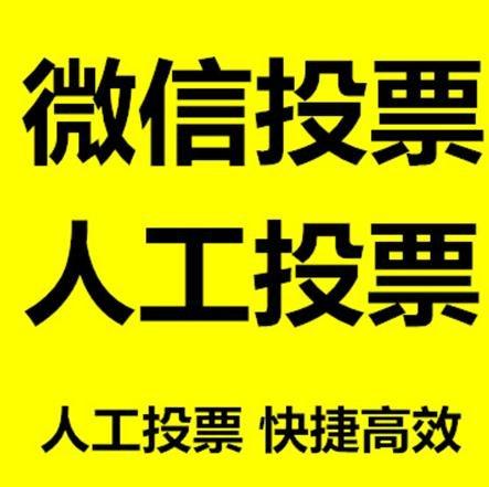 汉中市微信投票哪个速度快？