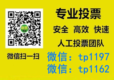 汉中市微信手动投票费多少钱让我告诉你微信投了多少